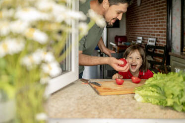 Father having fun with son playing with tomatoes at home - ANAF01642