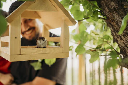 Sperling im hölzernen Vogelhaus sitzend - ANAF01652