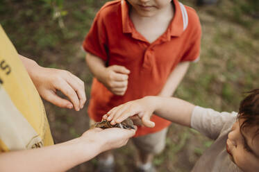 Hands of children touching sparrow in garden - ANAF01655