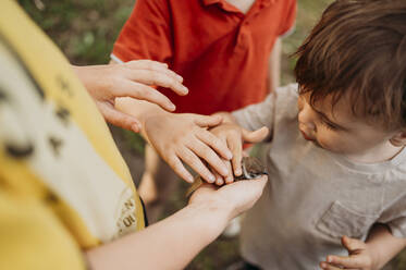 Kinder berühren Sperling im Garten - ANAF01656