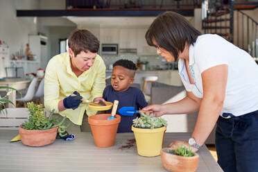 Lesbian couple and son planting plants in flowerpots at home - CAIF33597