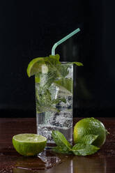 Mojito cocktail in cocktail glass - CAIF33625