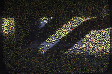 Colored black peppercorns on dark background - CAIF33633