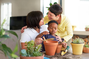Happy lesbian couple and son planting plants in flowerpots at home - CAIF33640