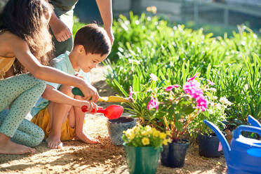 Brother and sister planting flowers in summer garden - CAIF33927