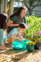 Family planting flowers in sunny summer garden - CAIF33928