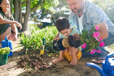 Father helping son with Down Syndrome planting flowers in garden - CAIF33929
