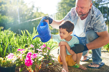 Father and son with Down Syndrome watering flowers in sunny garden - CAIF33931