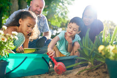 Family digging in dirt, planting flowers in sunny summer garden - CAIF33933