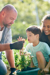 Parents and curious son with Down Syndrome planting flowers - CAIF33937