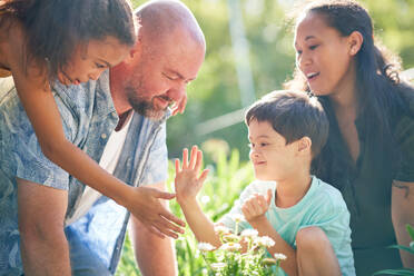 Happy family high-fiving, planting flowers in summer garden - CAIF33939