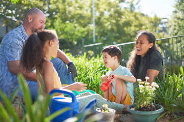 Happy family laughing, planting flowers in summer garden - CAIF33940