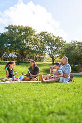 Family eating and blowing bubbles on summer park lawn - CAIF33945