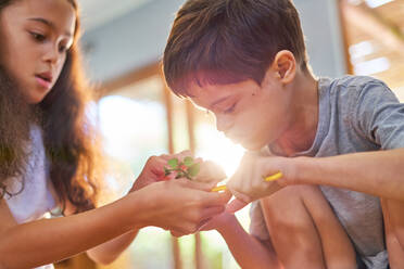 Sister and curious brother with Down Syndrome looking at plant - CAIF34000