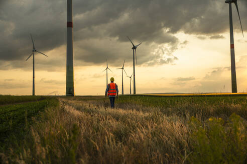 Ingenieur, der inmitten von Gras auf einem Windfeld vor einem Sonnenuntergangshimmel spazieren geht - UUF29276