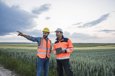 Engineer pointing away with colleague standing by crop in field - UUF29319