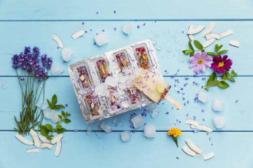 Homemade lemonade ice pops with herbs, edible flowers and coconut flakes - GWF07840