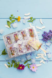 Selbstgemachte Limonaden-Eiswürfel mit Kräutern, essbaren Blüten und Kokosflocken - GWF07841