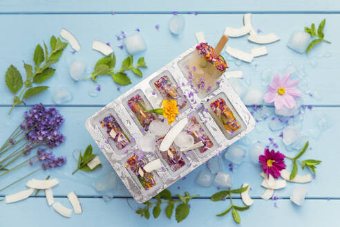 Selbstgemachte Limonaden-Eiswürfel mit Kräutern, essbaren Blüten und Kokosflocken - GWF07842