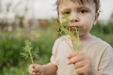 Boy eating herbs at farm - ANAF01673