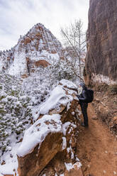 USA, Utah, Springdale, Zion National Park, Senior woman hiking in mountains in winter - TETF01995