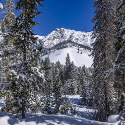 USA, Idaho, Sun Valley, Scenic view of mountains and forest in winter - TETF02007