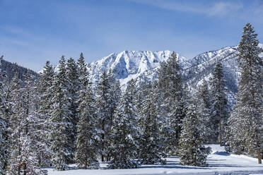 USA, Idaho, Sun Valley, Snow-covered mountain peaks and trees - TETF02011