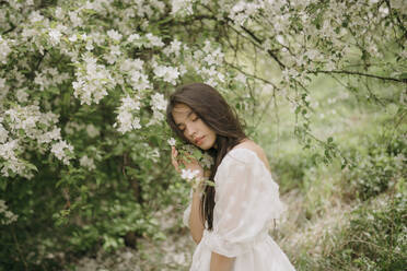 Portrait of teenage girl (16-17) with blooming apple tree - TETF02041