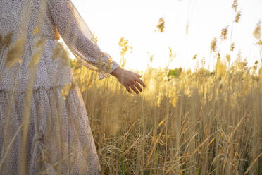 Young woman touching plants in field at sunset - TETF02051