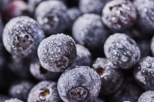 Close-up of fresh blueberries - TETF02072