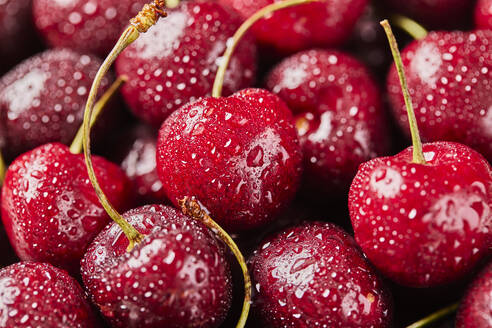 Close-up of fresh cherries with water drops - TETF02073