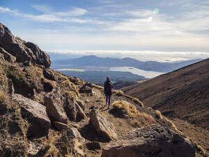 New Zealand, Waikato, Tongariro National Park, Hiker hiking - TETF02080