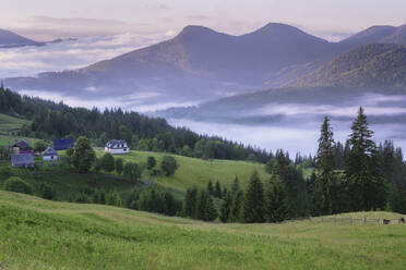 Ukraine, Ivano Frankivsk region, Verkhovyna district, Dzembronya village, Rolling landscape in Carpathian Mountains - TETF02096