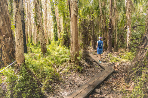 Australia, Queensland, Agnes Water, Woman walking on boardwalk in forest - TETF02183