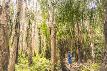 Australia, Queensland, Agnes Water, Woman walking on boardwalk in forest - TETF02184