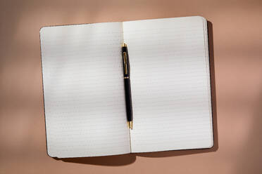 Pen in open notebook on brown background - TETF02210