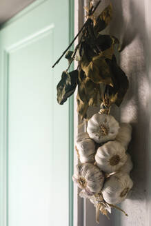 Close-up of garlic hanging in kitchen - TETF02221