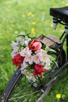 Blumenstrauß aus blühenden Alstroemeria-Blumen auf einem Fahrrad - GISF00967