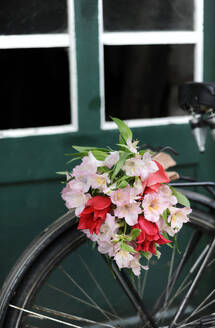 Blumenstrauß aus blühenden Alstroemeria-Blumen auf einem Fahrrad - GISF00968