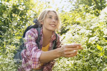 Lächelnder Wanderer pflückt Blumen im Wald - NDEF00880