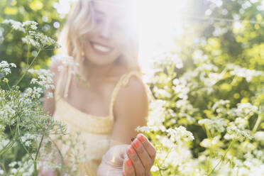 Beautiful woman picking flowers in forest back lit with sunlight - NDEF00914