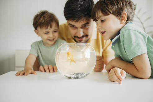 Vater und Söhne sehen sich Goldfische im Fischglas an - ANAF01683