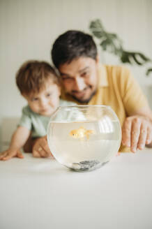 Vater und Sohn starren auf einen Fisch in einer Schüssel auf dem Tisch - ANAF01685