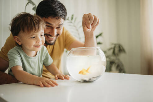 Father and son looking at fish in bowl on table - ANAF01686