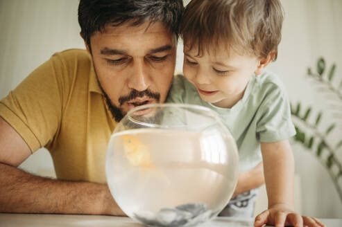 Vater und Sohn starren zu Hause auf einen Goldfisch im Glas - ANAF01687