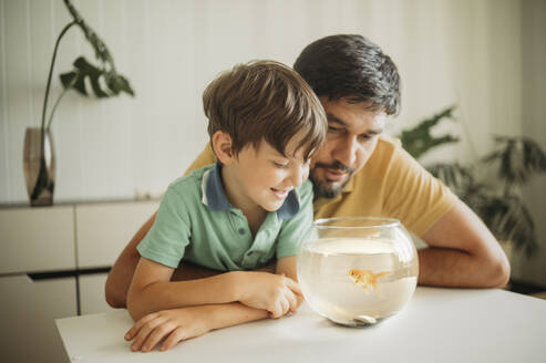 Glücklicher Vater und Sohn betrachten einen Goldfisch in einem Glas - ANAF01690