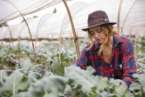 Young farmer wearing hat working in vegetable farm - IKF00937