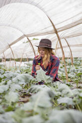 Landwirt mit Hut bei der Arbeit im Gemüseanbau - IKF00938