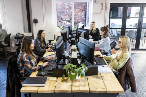 Geschäftsfrauen arbeiten gemeinsam am Computer am Schreibtisch im Büro - WPEF07472