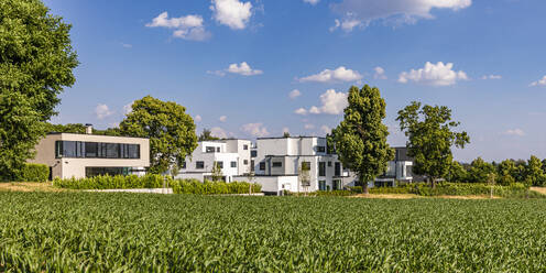 Deutschland, Baden-Württemberg, Ludwigsburg, Grüne Sommerwiese mit modernen Vorstadthäusern im Hintergrund - WDF07329